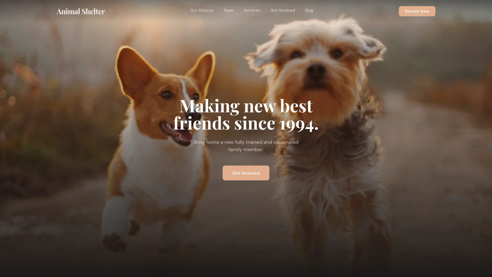Animal Rescue & Shelter Website Template — services template preview