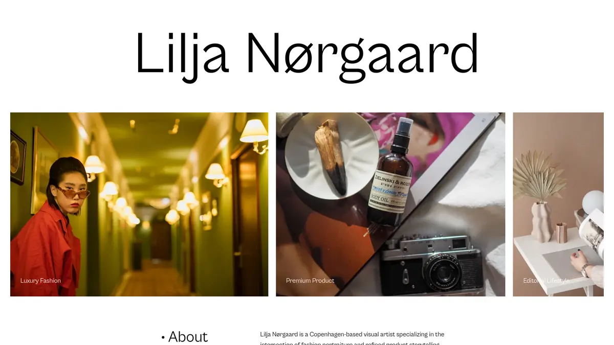 Contemporary Photo Site — portfolio template preview