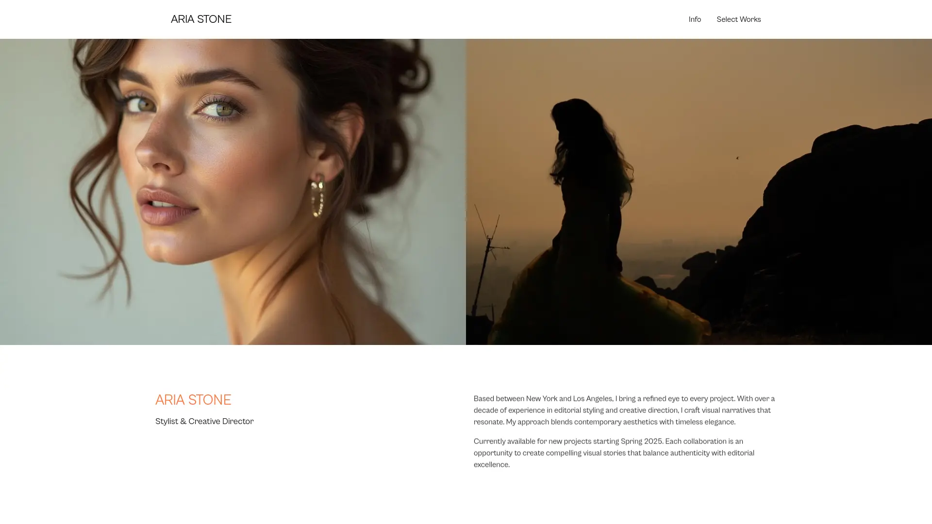 Creative Director Portfolio Website Template — portfolio template preview
