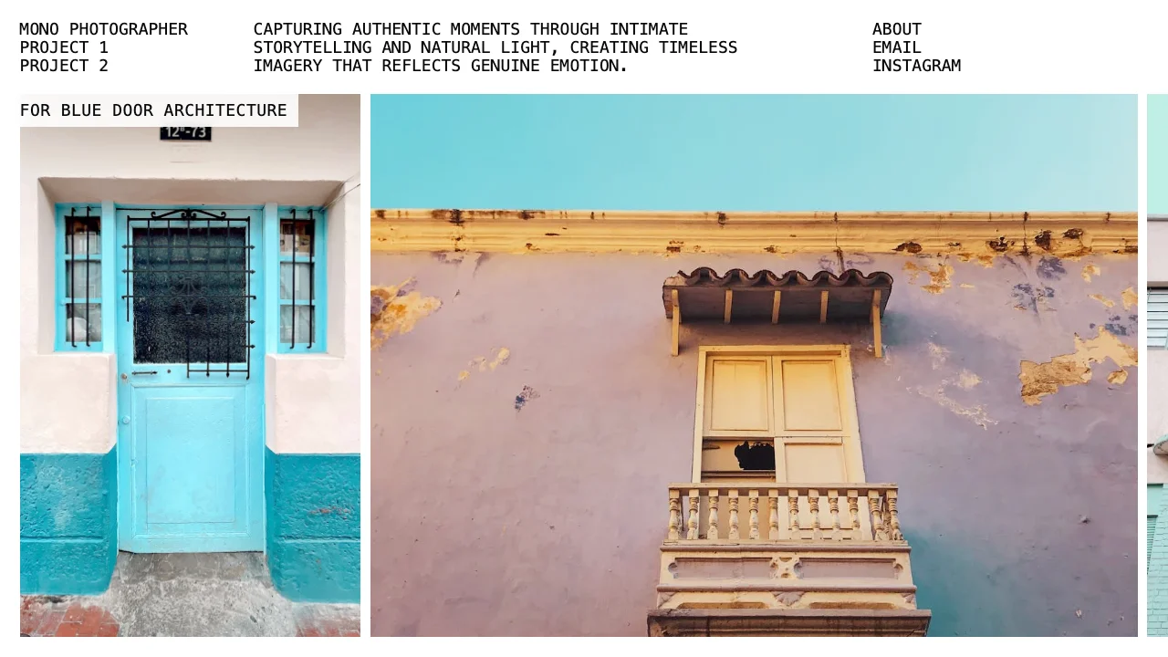 Mono Photo Portfolio — portfolio template preview