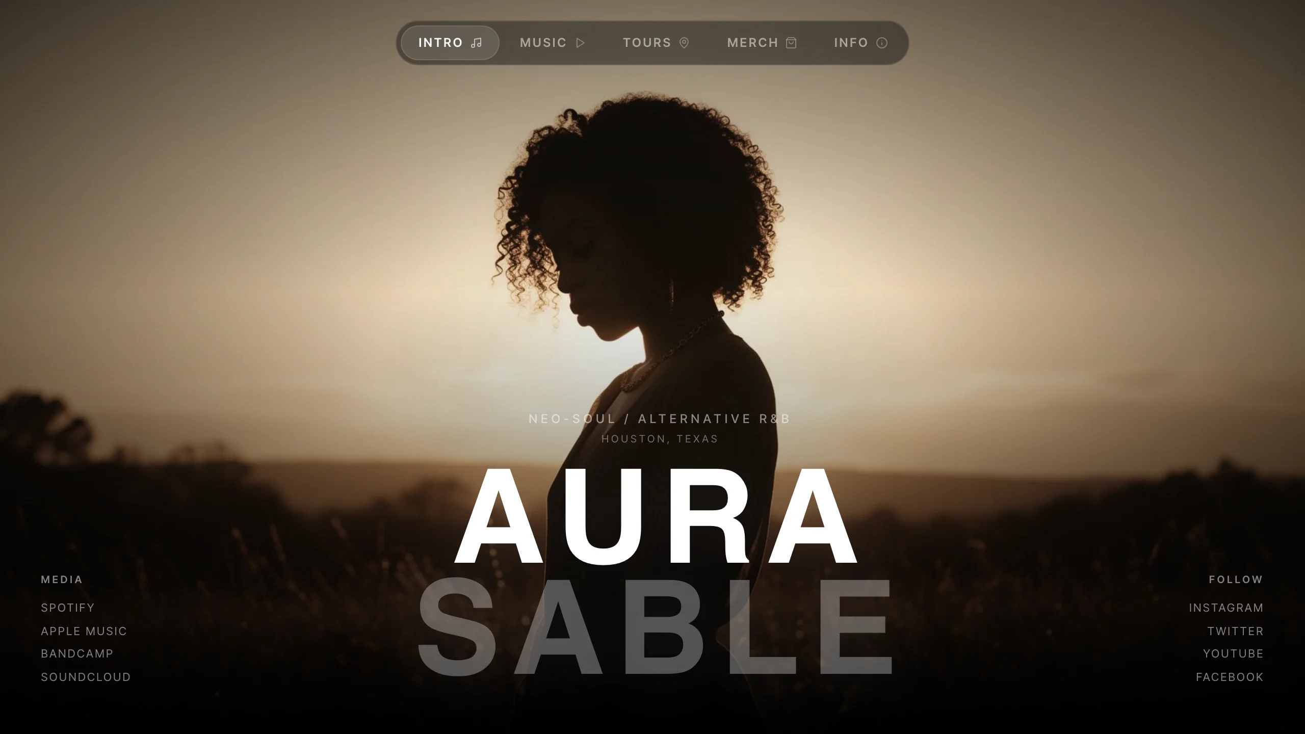 Cinematic Musician Site — music template preview