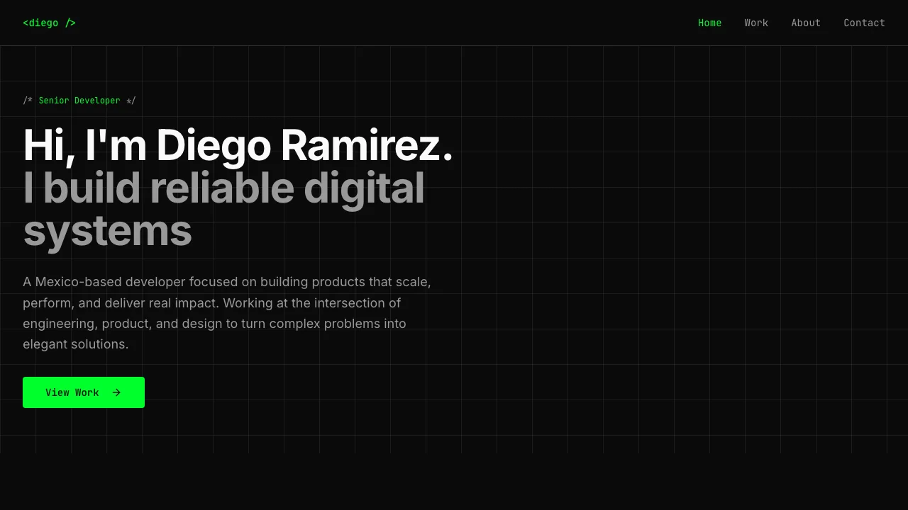 Terminal-Style Developer Portfolio Template — portfolio template preview